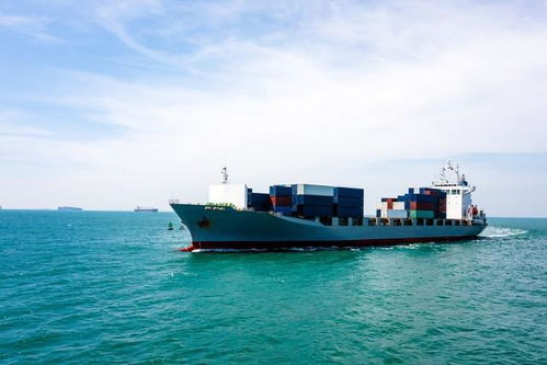 2024年致富之路 装卸服务与跑船的机遇与挑战